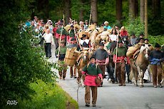 Bayerischer Wald